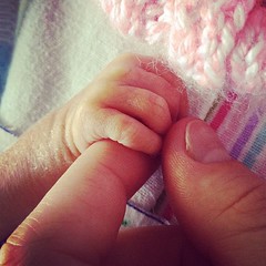 Little fingers. Avery Day 11. #preemie #twins