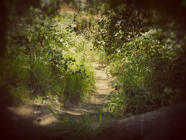 Path by the river