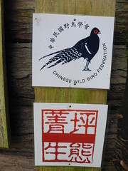 中華鳥會在坪林與茶農契作符合生態保育生產出來的茶葉。