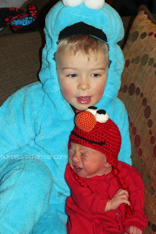 My Cookie Monster & My Elmo