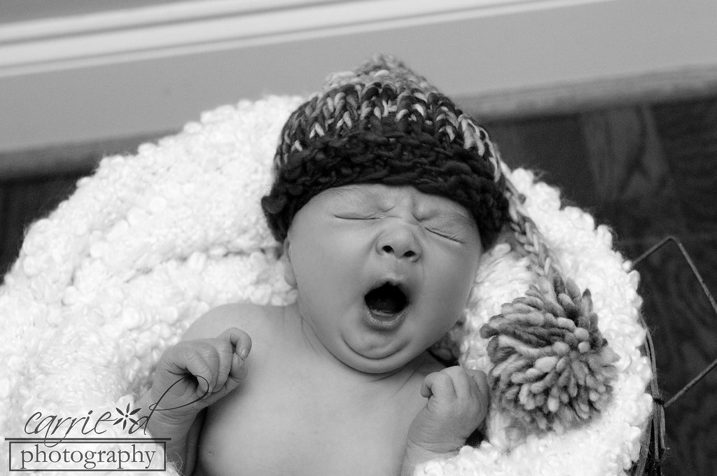 Baltimore Newborn Photographer - Baltimore Family Photographer - Newborn Photography - Francesca-Bradley 10-28-2012 (33 of 172)