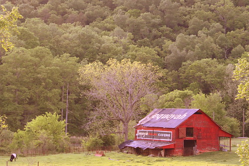 The Advertising Barn at Sequoyah Caverns (2012)