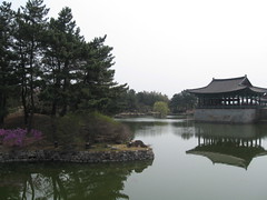 2012-1-korea-217-gyeongju-anaphi pond