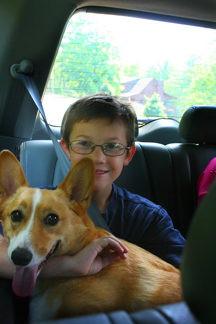 Driving to Helton Creek Falls with Daisy in the back with the kids