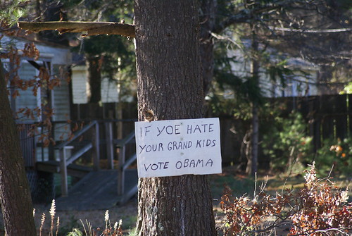 IF YOE HATE YOUR GRAND KIDS VOTE OBAMA