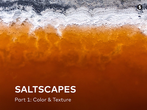 Cover - Saltscapes article on Storehouse