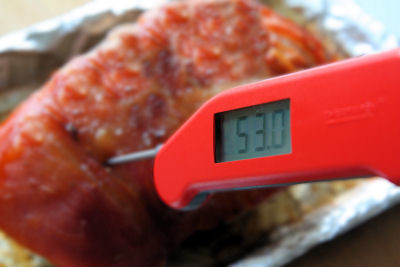 Taking temperature of pork 3856 R