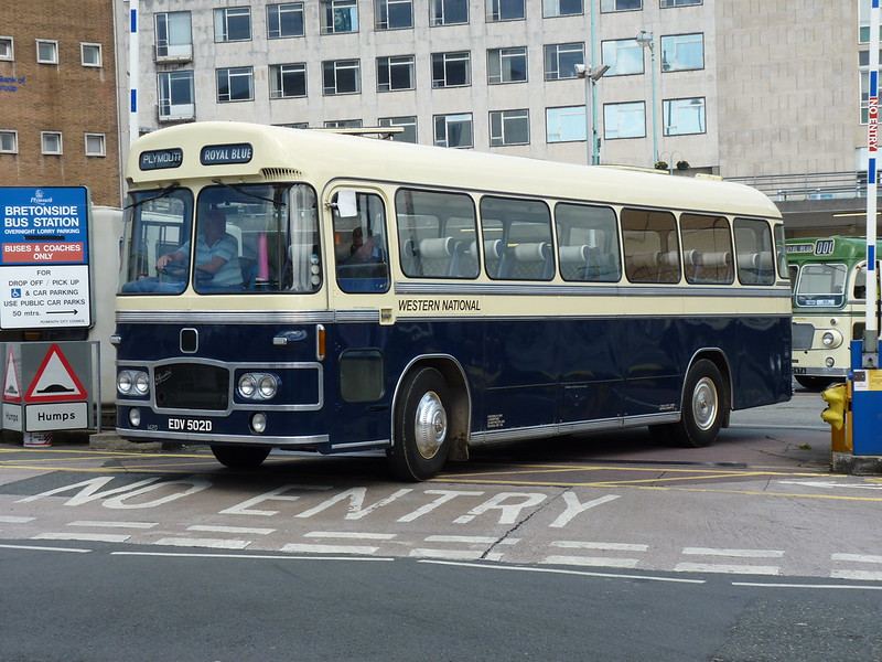 Royal Blue EDV502D