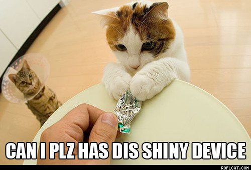 Cats and students all want to know: can I has this shiny device?