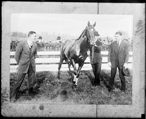 Man O'War at Rose Tree hunt clubs meet in Media, PA. L-R: Jack Kelly, world's single and double rowing champ, Man O'War, Jack Dempsey.
