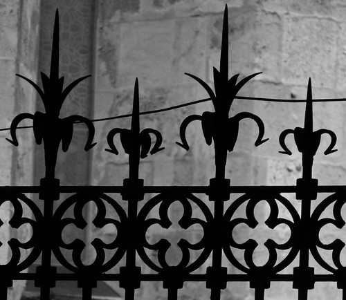 catedral de tarragona by dolors ayxendri