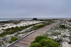 Monterey Bay Sights