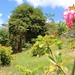 La Pagerie tropical garden