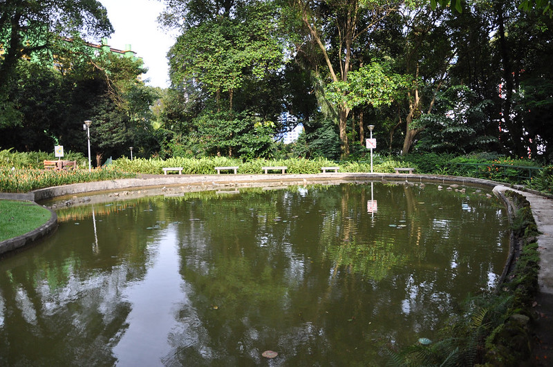 Парк в жилом квартале Сингапура
