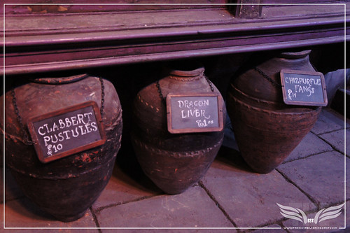 The Establishing Shot: The Making of Harry Potter Tour - Diagon AlleyClabbert Pustules, Dragon Liver, Chizpurfle Fangs Outside Mr. Mulpepper's Apothecary by Craig Grobler