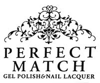 perfect match logo