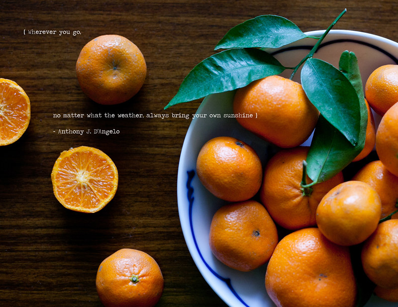 oranges-1 copy.jpg