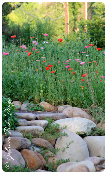 Steps-to-Poppies
