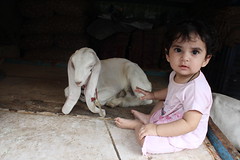 Nerjis Asif Shakir and the Long Eared Goat by firoze shakir photographerno1