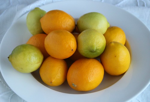 Lemon-Lime Sorbet 1