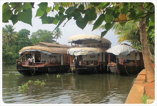 backwater houseboats