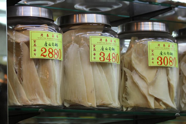 Shark Fins for sale in Hong Kong
