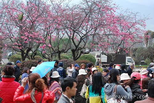 tourist crowds of Dali China