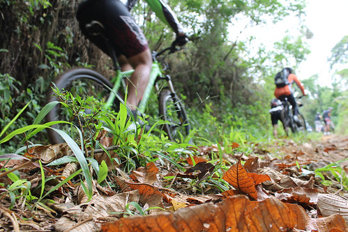 Trilha de Mountain Bike para o Pico do Gavião