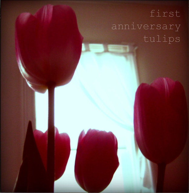first anniversary tulips