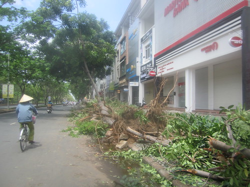 Pakhar Storm Damage