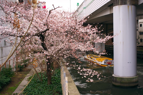 Higashi-Yokobori river & boat