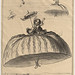 Honoré Daumier, "Manière d'utiliser les jupons nouvellement mis à la mode"