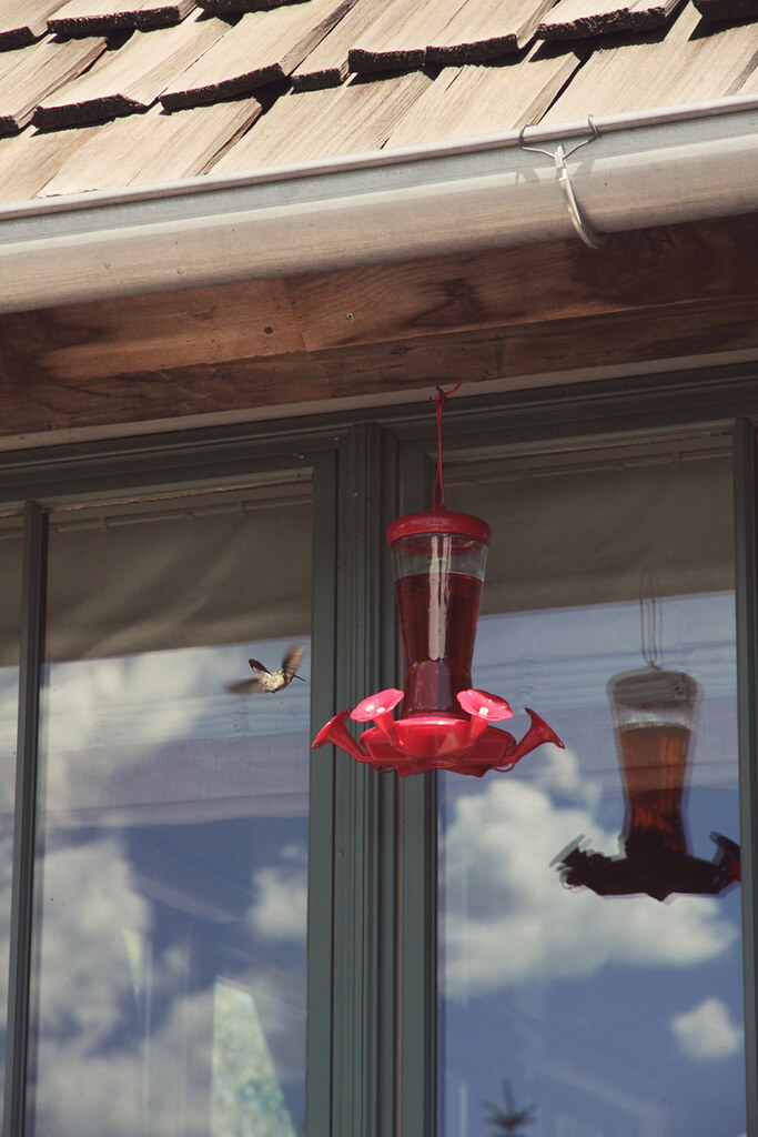 project 12 - July - 2 - hummingbird feeder