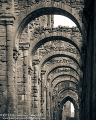 The Stonework Of Fountains Abbey
