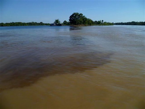 亞馬遜河黑水與白水的交界。白水來自安地斯山脈，夾帶大量泥沙礦物而得此名。