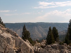 Yellowstone 2007