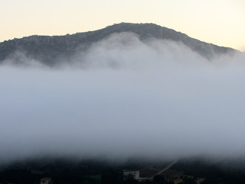 fog layer