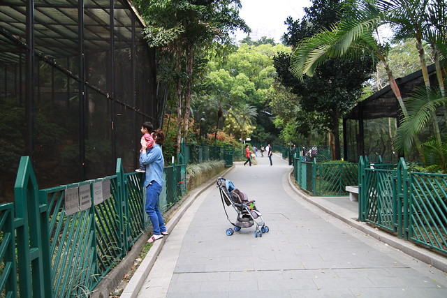 HK Zoological & Botanical Garden