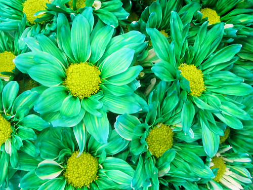 Green Flowers