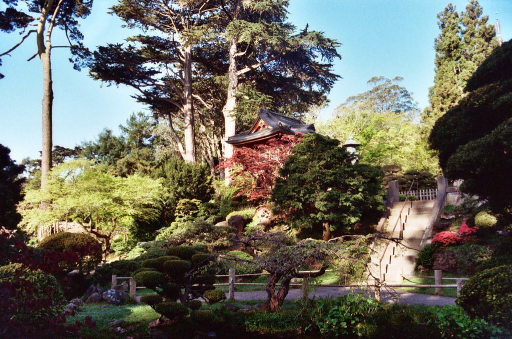 Japanese Tea Garden At Sfs Golden Gate Park - Ida Thue Japanese Tea Garden Cool Photos Holiday