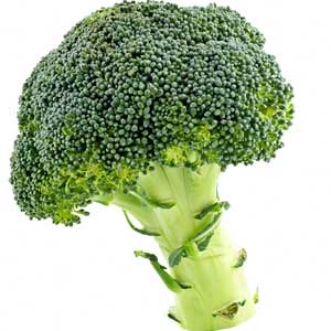 can-i-give-my-baby-broccoli