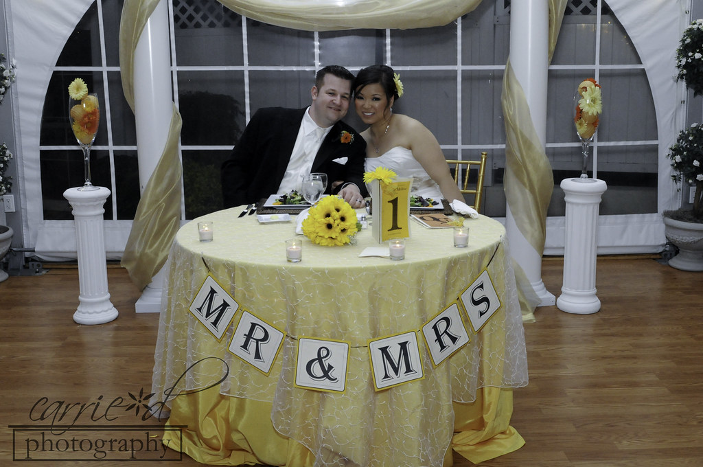 Baltimore Wedding Photographer - Myers Wedding 3-30-2012 (422 of 698)BLOG
