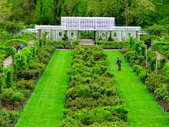 Brooklyn Botanic Garden 2012