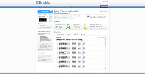 Latest Performance Report for- http---8bitodyssey.com- - GTmetrix(5)