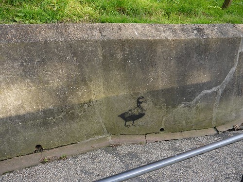 First appearance of Stewy Duck stencil, West Hill, Hastings by HastingsPeetArt