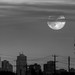 Edmonton skyline moon b&w hdr