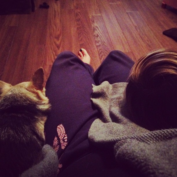 My lap is a pillow to a dog and kid tonight.