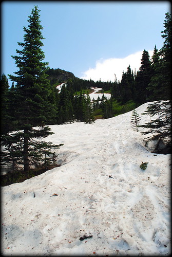 Snow on the trail near McNeil Point