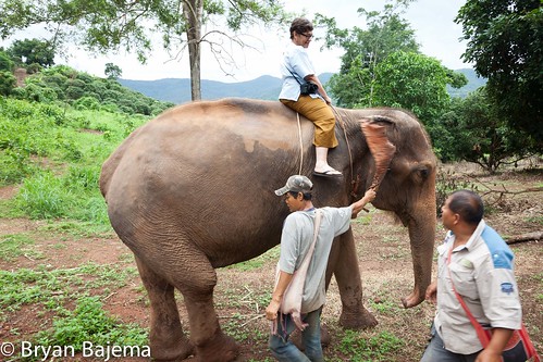 Turning the elephant