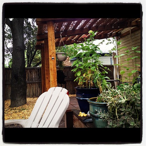 My backyard on a cloudy morning is the perfect place to spend time connecting to my heart